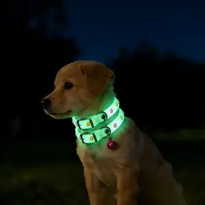 2 Pcs Random Color Pet Glow Collar, Night Light Cute Pet Collar, Paw Print Glowing Collar, Safe Anti-Lost Collar for Small Dogs, Puppy and Cats