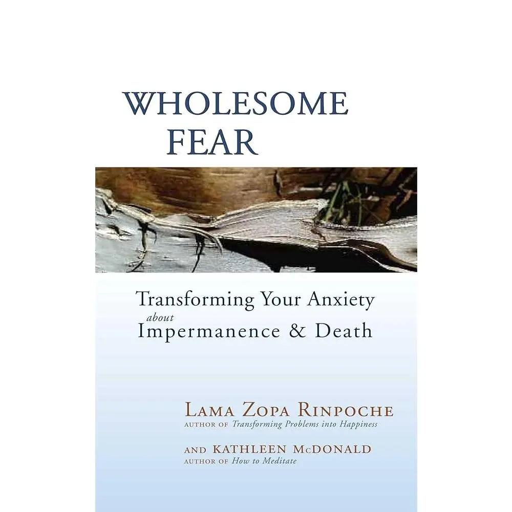 Wholesome Fear: Psychology Book with Compassion, Meditations on Peace for Transforming Anxiety About Impermanence, Death, Dying & Life by Kathleen McDonald - For Psychology Enthusiasts