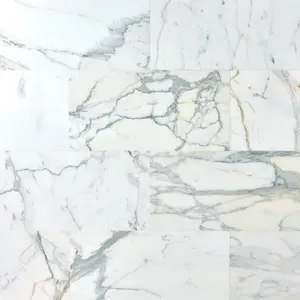 Calacatta Gold  12x24 Polished/Honed Marble Tile