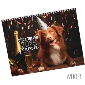 Nova Scotia Duck Tolling Retriever  2025, Duck Toller Wall Calendar Gift, 12 Month Hanging Wall Calendar, Desktop Dog Calendar 2025
