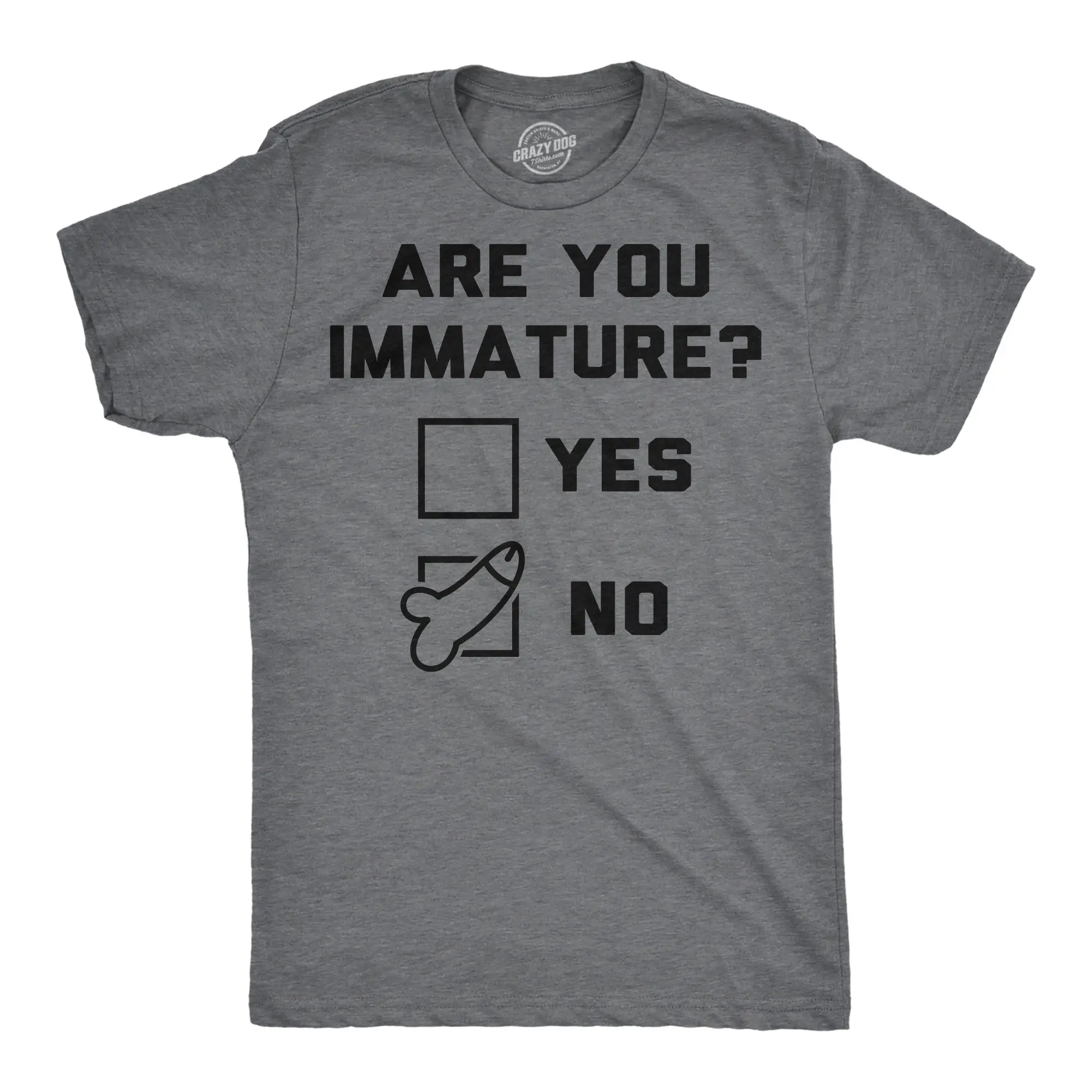Mens Funny T Shirts Are You Immature Sarcastic Dick Joke Graphic Novelty Tee for Men Mens Funny T Shirts Cool Vintage Fashion T-Shirt Gift Classic Menswear Funny offensive Short Sleeve Novelty Tees for Guys Dark Grey