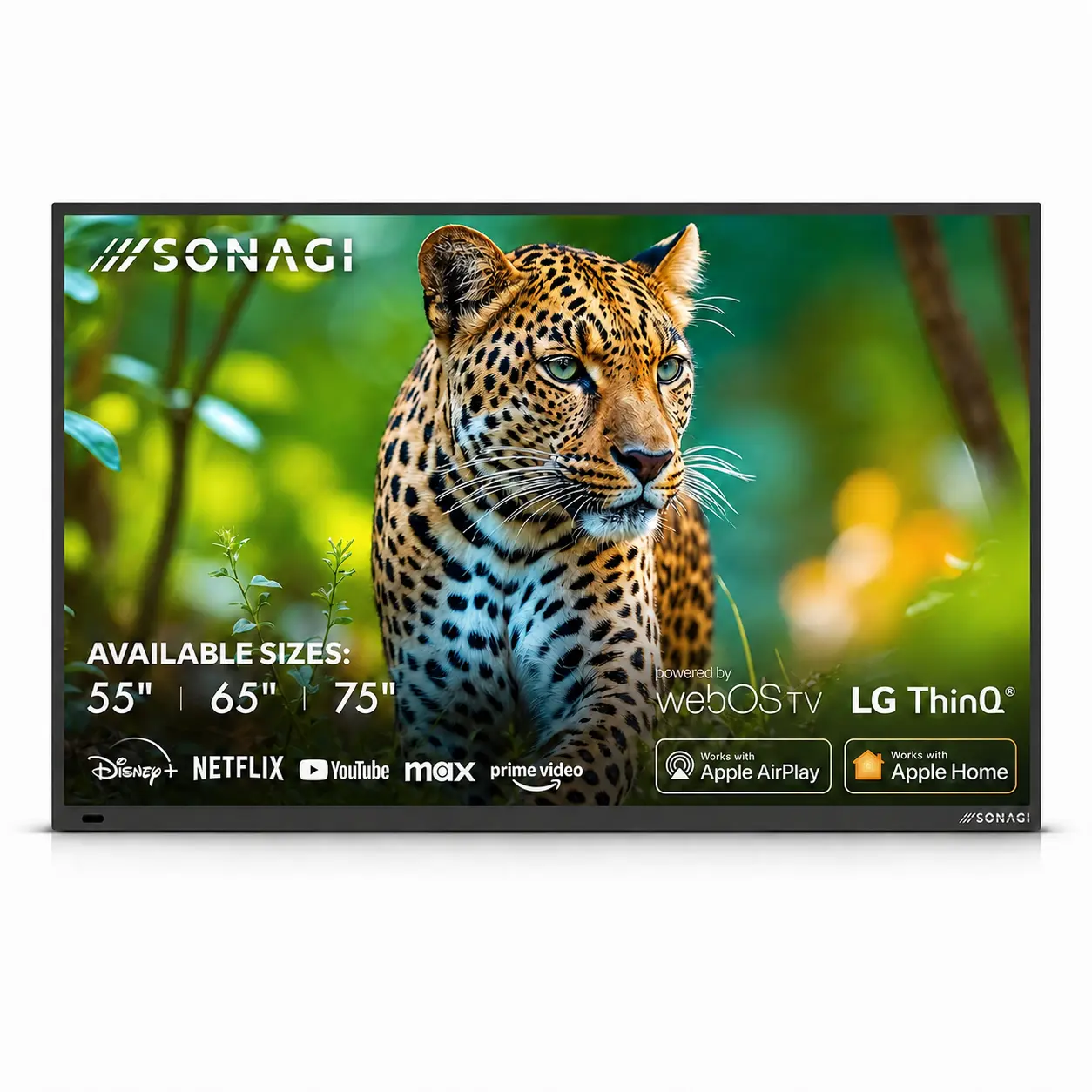 55-Inch Full Sun Outdoor Smart TV – 4K UHD, 1000-Nit Anti-Glare Display, IP65 Weatherproof, LG webOS, Wi-Fi & Bluetooth