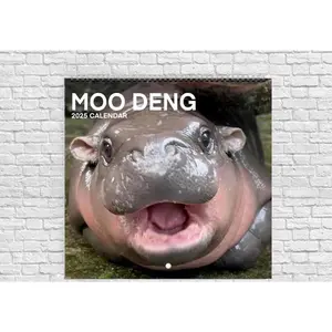 Soft Cactus Moo Deng Calendar Baby Pygmy Hippo 2025 Calendar Wall Calendars Wall Hanging Calendar