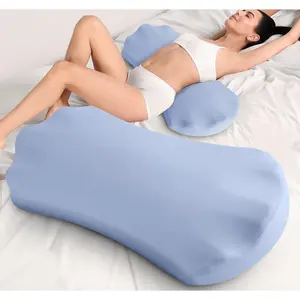 Lower Back Pain Relief Pillow for Sleeping Memory Foam Lumbar Support Pillow for Side Back Sleepers - Ergonomic Waist Pillow - Back Pain Relief Wedge Cushion Bolster Pillow for Bed, Car, Sofa