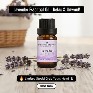 10ml Lavender Officinalis Essential Oil  (Lavandula officinalis)