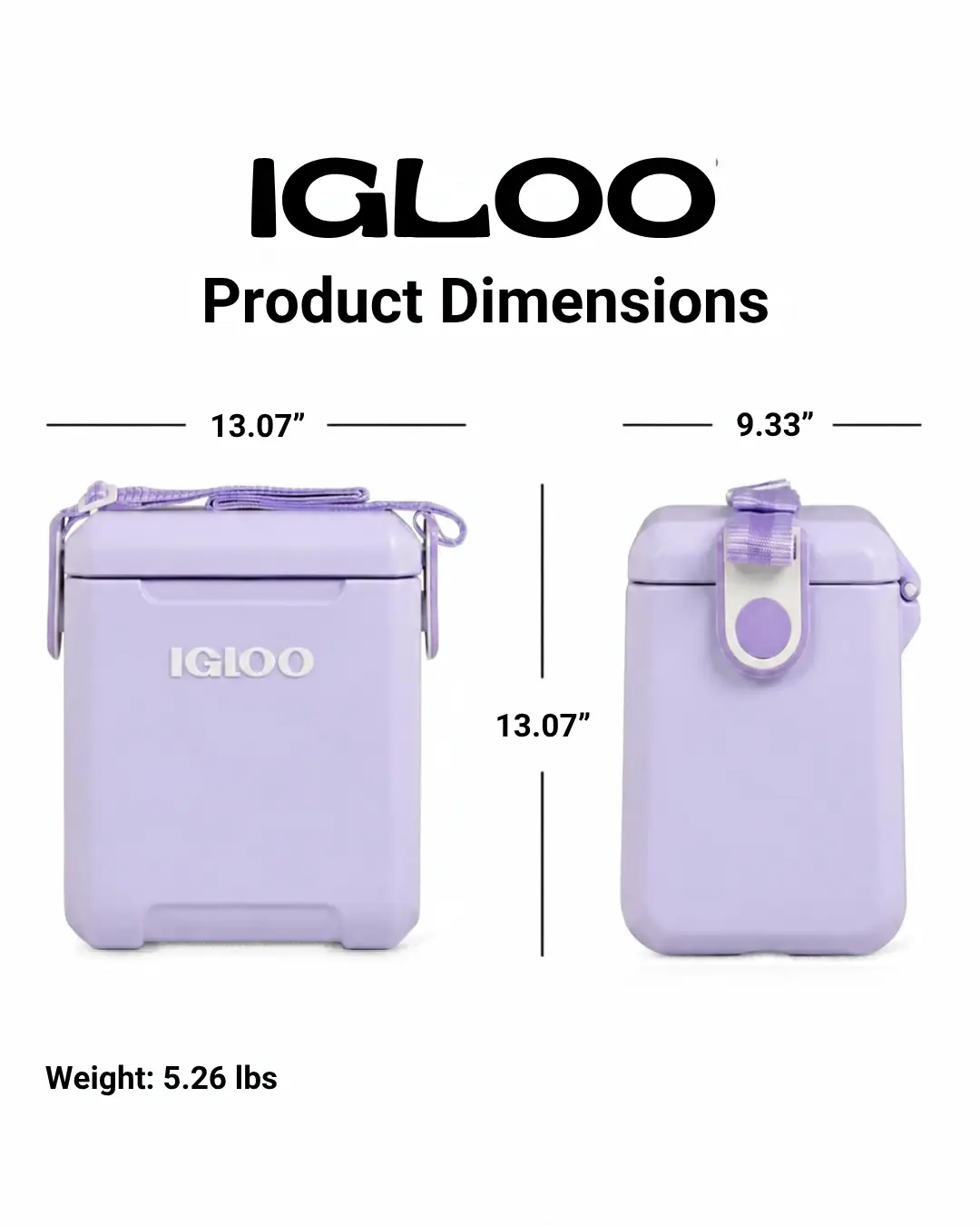 IGLOO Portable Cooler - Compact and Lightweight Design for Outdoor Adventures - Perfect for Picnics and Hiking - Purple Color