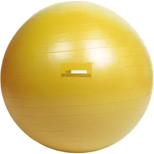 Exercise Ball with Pump for Home, Gym, Balance, Stability, Pilates, Core Strength, Stretching, Yoga, Fitness Facilities, Desk Chairs