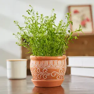 Ornaterra Ceramic Hanging Planter