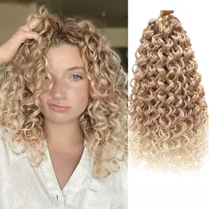Latin American Curly Crochet Hair Dreadlocks GoGo Curl Synthetic Water Wave Wig