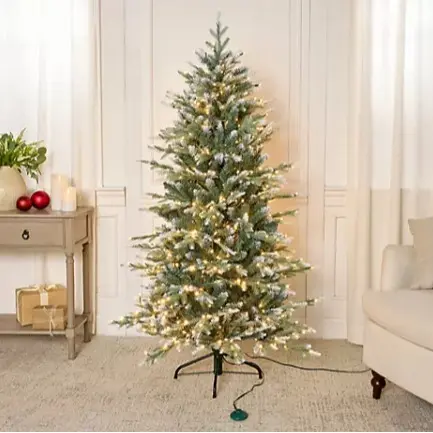 Snow Spruce