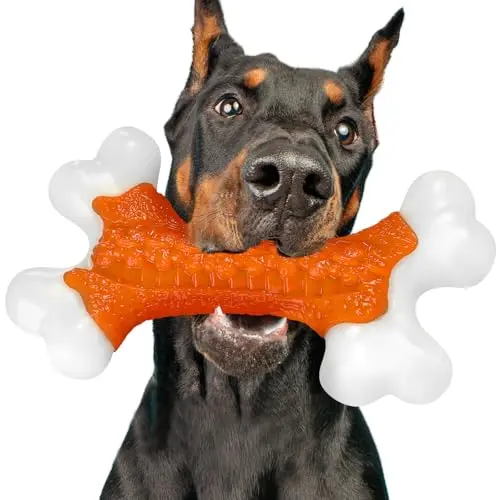 01PC Peanut Butter Orange