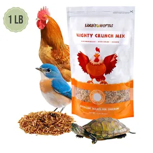 LuckyQworms Mighty Crunch Mix Aquatic Turtle Food 1 lb High Protein Natural Insect Food for Chickens Hens Duck Goose Wild Birds Hedgehogs Reptiles Lizards Bearded Dragons Fish Turtles Resealable Bag