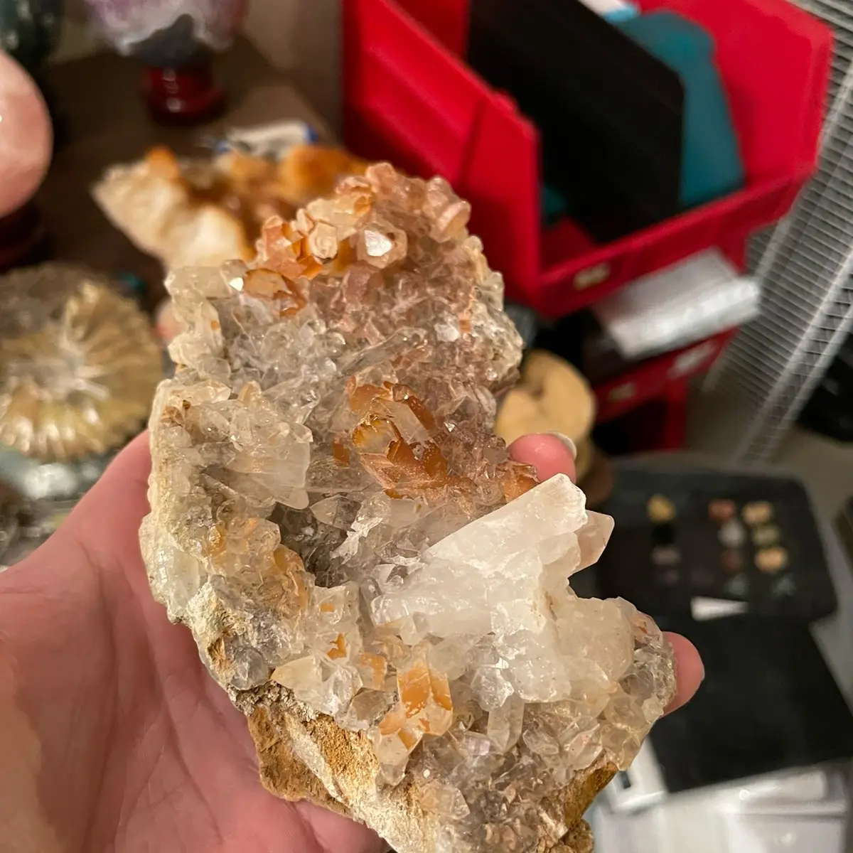 Hematite on Cluster of quartz crystal points on matrix