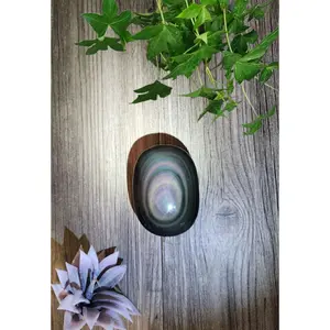 Rainbow Obsidian Palm