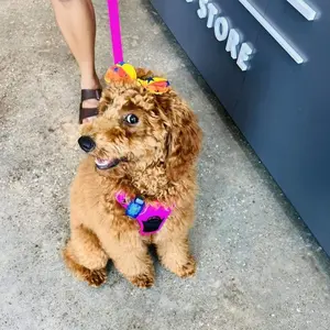 Astros Inspired Hair Bow