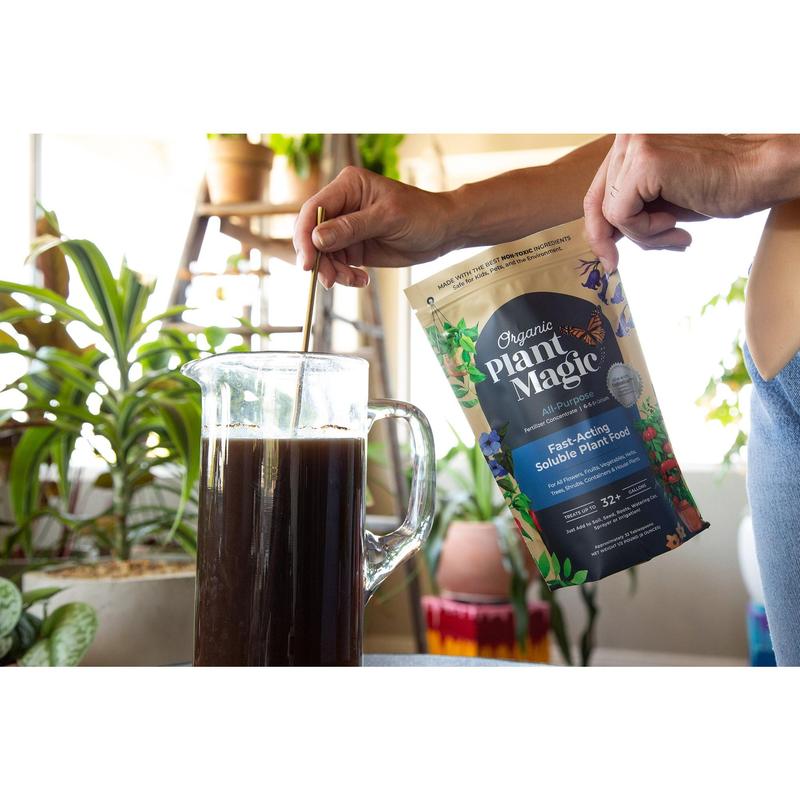 Fast-Acting Soluble Plant Food