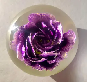 60mm Real Purple Carnation in Crystal Clear Lucite Resin Ball January Birth Month Flower