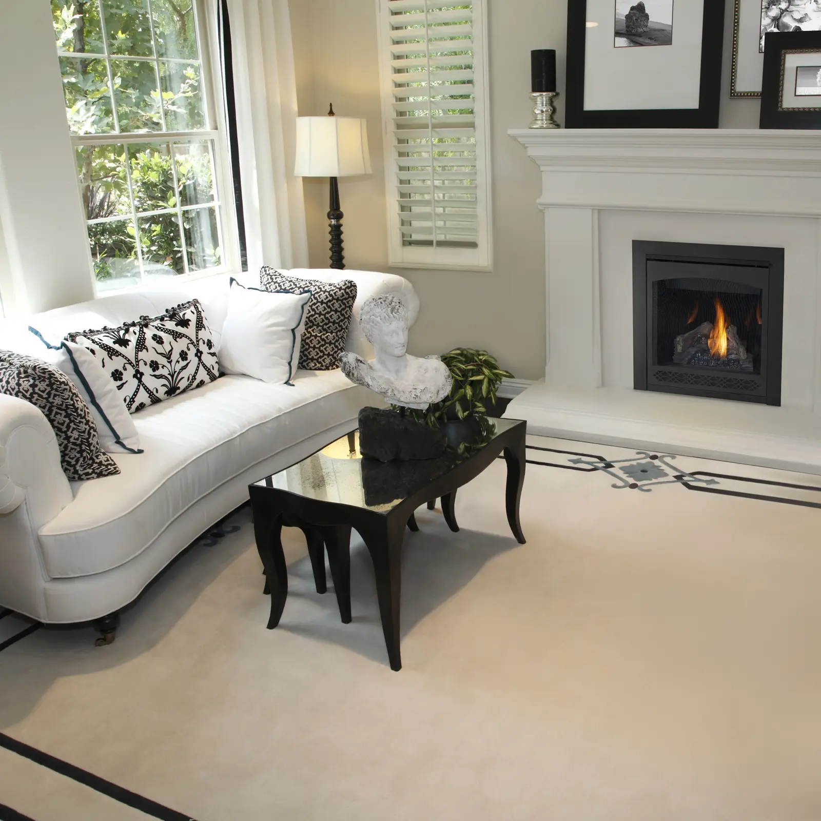 Napoleon Ascent 30 Direct Vent Gas Fireplace | B30
