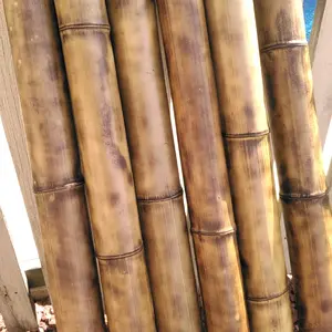 Bamboo Poles Set 6 (3" Diam. 6'Length)
