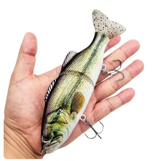 1000 dollar fishing lure - TikTok Shop 1000 dollar fishing lure - TikTok Shop