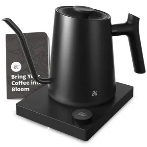 Electric Gooseneck Kettle
