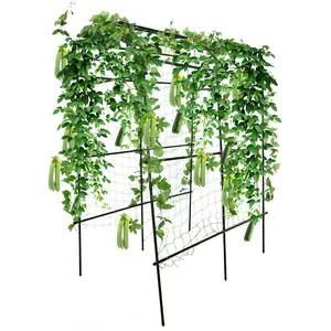 Tall Garden Arch Trellis for Climbing Plants | PE-Coated Stainless Steel, for Vines, Vegetables & Flowers, Raised Garden Beds