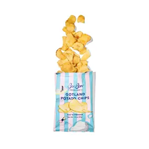BonBon's Potato Chips - 4-Pack Salt & Vinegar