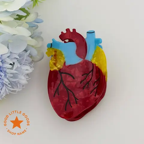 Anatomical Heart Hair Claw – Double-Sided Durable Plastic Clip for Women & Girls, Inspired Gift Design for Medical Professionals, Cardiovascular Surgeons, Doctors, Nurses, Premium Hair Accessory for Her, Bestie, BFF