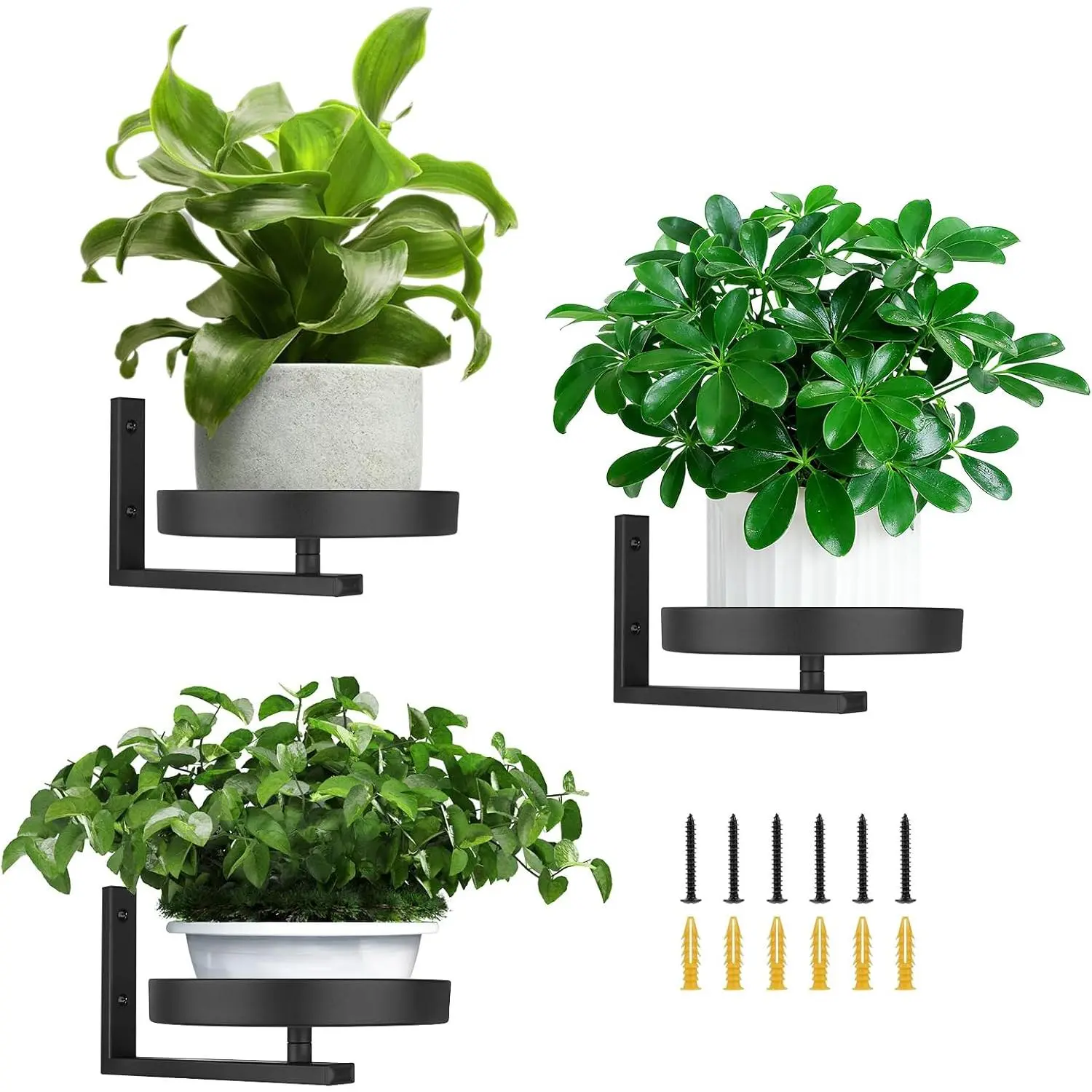3 Pack Wall Planters for Indoor ,Wall Mounted  Holder, Metal wall  holder,Metal Wall  Holder--Space-Saving and Ideal for Decorating Bedrooms, Living Rooms, Kitchens, Offices, and Bathrooms