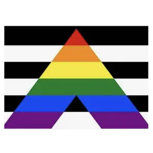 Straight Ally Pride Flag 3x5