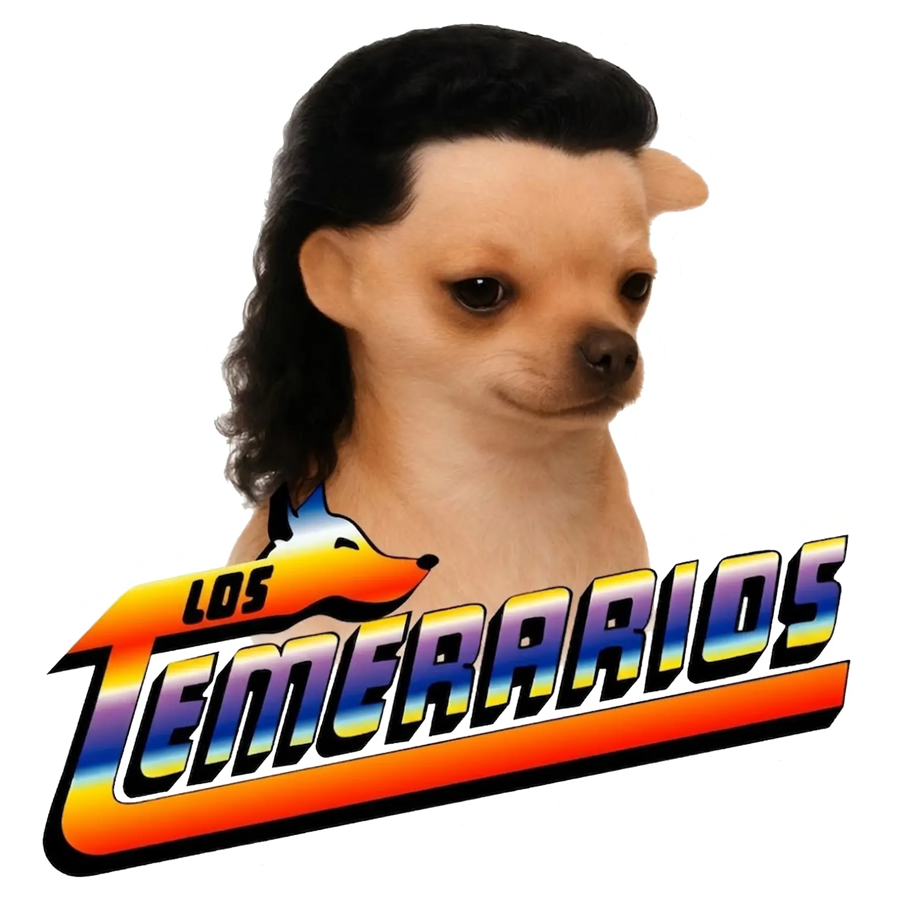 Funny Los Temerarios Dog Meme Sticker Humor Water proof sticker