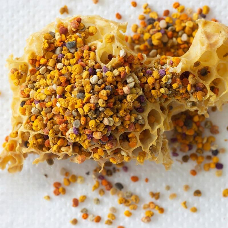 Premium Bee Pollen Granules 3.5 oz (100 G) | 100% Natural Bee Pollen, Polen de Abeja 100% Natural |Pure Natural Bee Pollen | Wildcrafted.