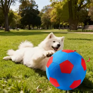 Pet Toy Ball for Horses Sheep Dogs, Football Pattern Design, Includes Inflatable Pump, Model Xinghao Mc251031