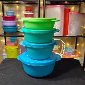Tupperware 4 Piece Micro Flash Set