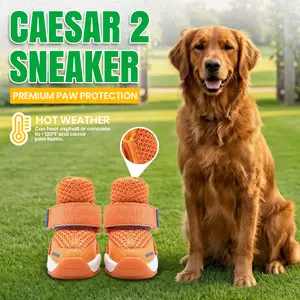 Rifruf Breathable Non‑Slip Pet Shoes – Lightweight Paw Protection Sneakers for Dogs & Cats