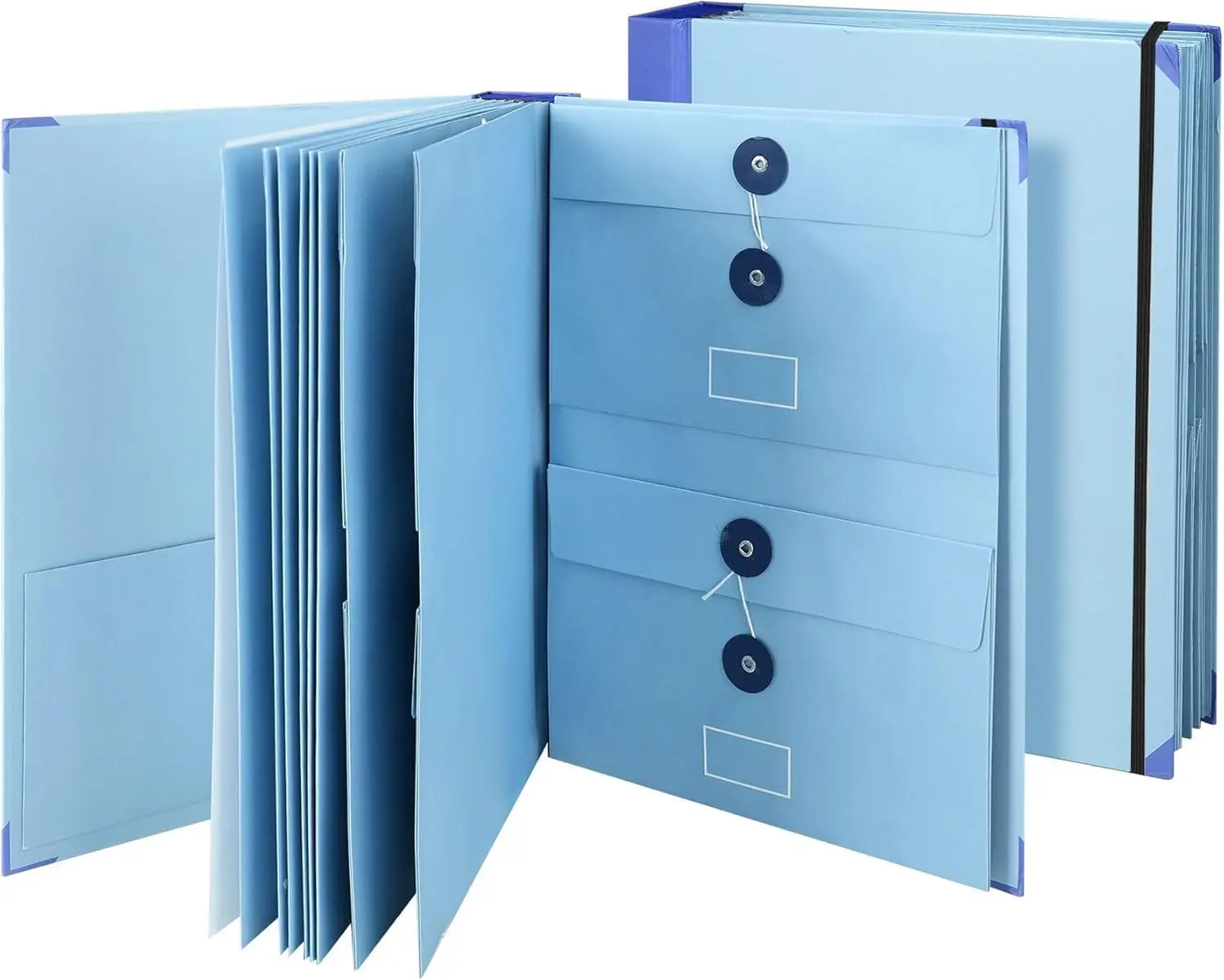 Important Document Organizer- Binder with Labels, File Folder Organizer with Pockets for Desk, Accordion Expanding File Folder for Home Office, Portfolio Binder for School and Medical Records