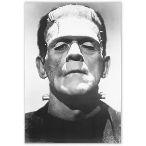 Movie Store Frankenstein Boris Karloff 24X36 B&W Poster Print