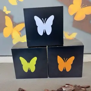 Caterpillar Box