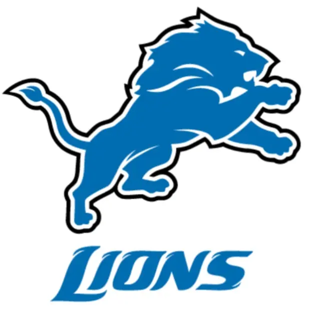 Detroit Lions 