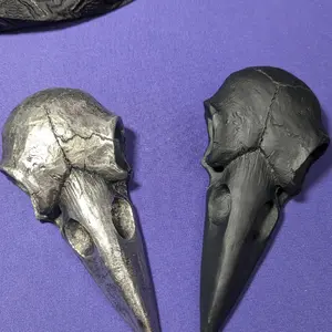 Raven Skull Coffin Mirror