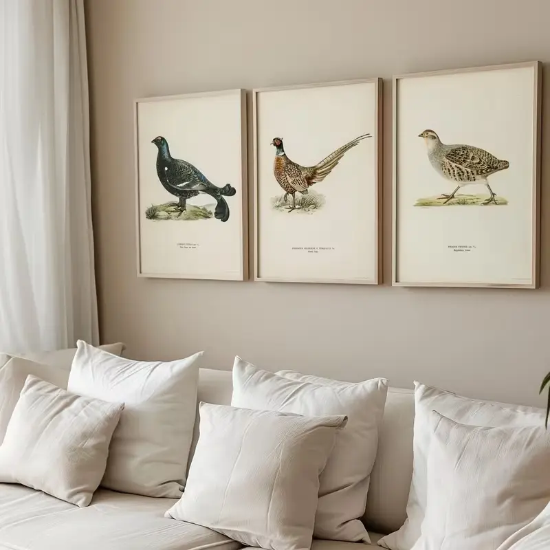 NO FRAME - Vintage Bird Wall Posters Set of 3, Retro Natural History Art Print, Aesthetic Botanical & Wildlife for Room Home Decor