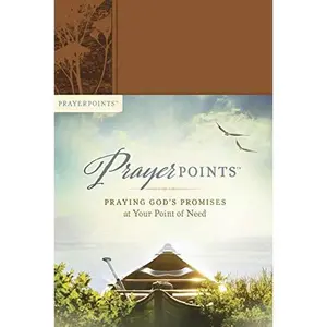 USED-Prayerpoints: Praying God's Promises at Your Point of Need (Unknown)