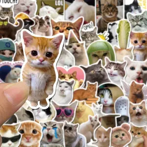 Set of 100 Fun Cat Stickers, Creative DIY Self-Adhesive Stickers for Decorating Water Bottles, Notebooks, Skateboards, Guitars, Luggage, Helmets, Cameras, Notebooks - Paper Material