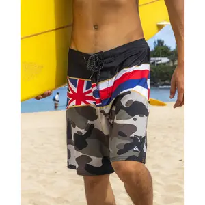 Hi Panel 20" Boardshorts - Grape Leaf