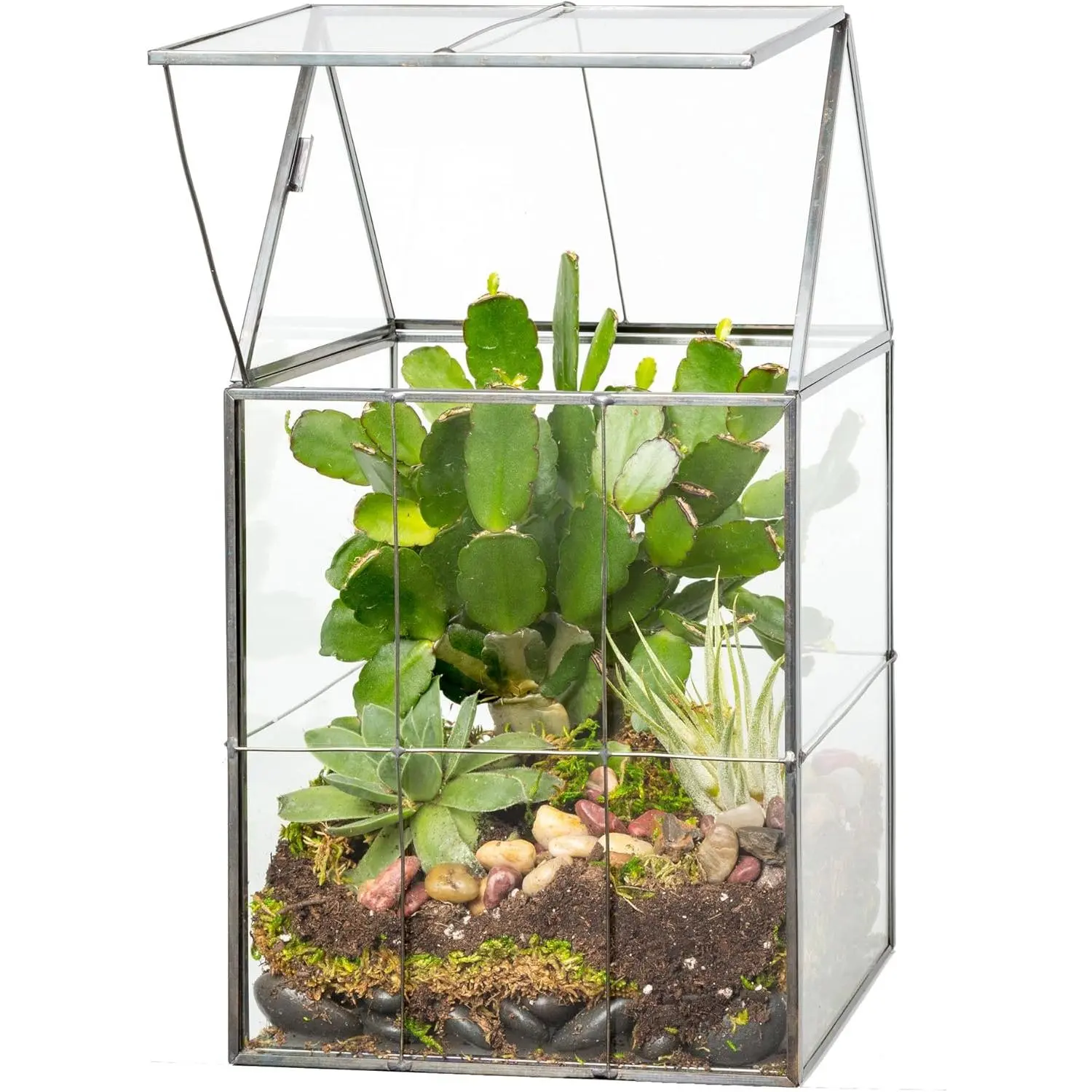 D'Eco Modern Glass Geometric Terrarium (6"x5"x11") - Home & Office Decor, Hinged Roof for Easy Access, Black & Brass Accents, Houseplants Holder, Fall Centerpiece, Gifts for Gardeners (Birthdays, Christmas)