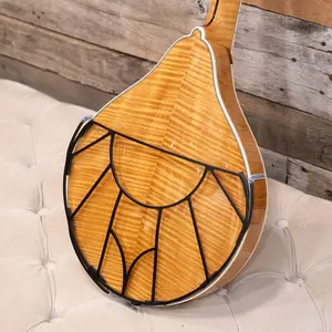 Tone-Gard Mandolin - Vintage