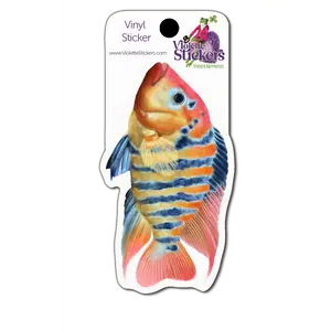 VY108 Tropical Fish Vinyl Sticker