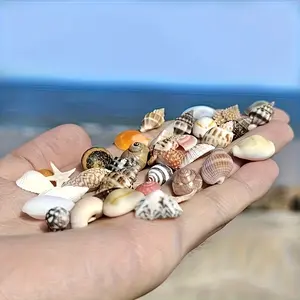 25pcs Random Style Colorful Mini Shells, DIY Crafts, Collage Art, Bottle Decor, Fish Tank Ornament, Easter, Mother's Day, Valentine's Gift