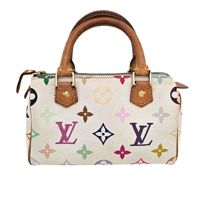 louis vuitton multicolor speedy - TikTok Shop