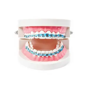 Temporary Dental Brace Decoration Chain, Removable False Teeth Kit, Ideal for Orthodontists and Dentistry Students, Includes Brackets and Wires
